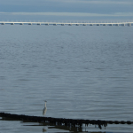DSC00572-w740_h1105
